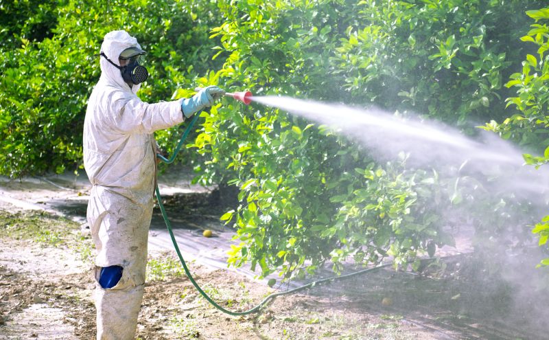 Pest Fumigation Service in Winston Salem, NC