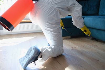 Pest Fumigation Service in Davis County, UT